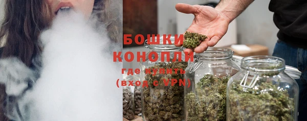 хмурый Новозыбков