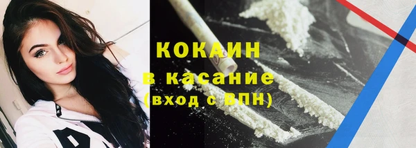 хмурый Новозыбков