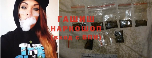 крисы Новодвинск