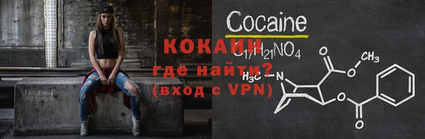 крисы Новодвинск