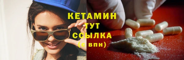 хмурый Новозыбков