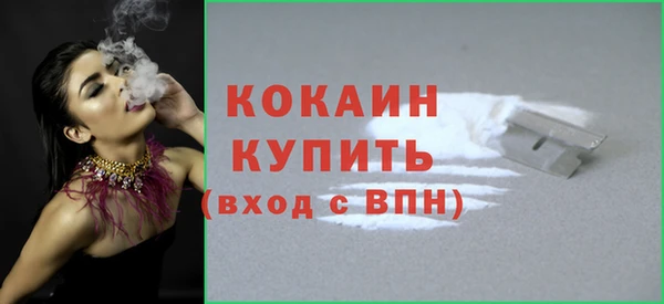 крисы Новодвинск