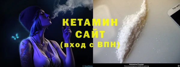 хмурый Новозыбков