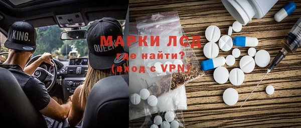 хмурый Новозыбков