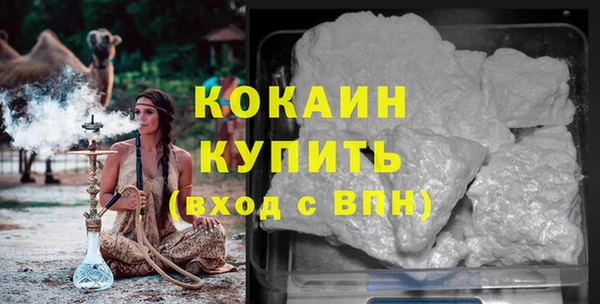 хмурый Новозыбков
