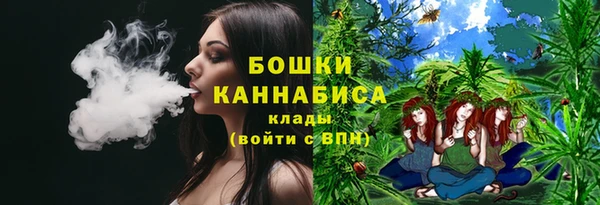 хмурый Новозыбков
