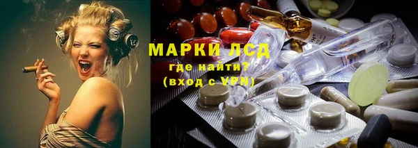 крисы Новодвинск
