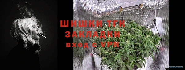 хмурый Новозыбков