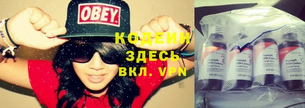 хмурый Новозыбков